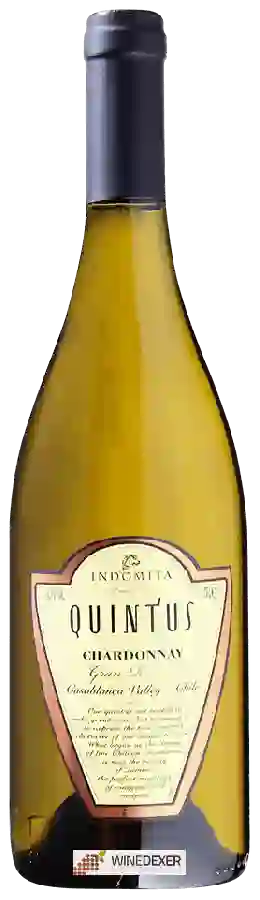 Winery Quintus - Gran Reserva Chardonnay