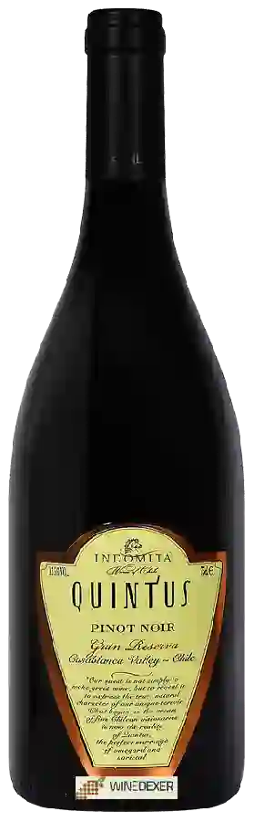 Winery Quintus - Gran Reserva Pinot Noir
