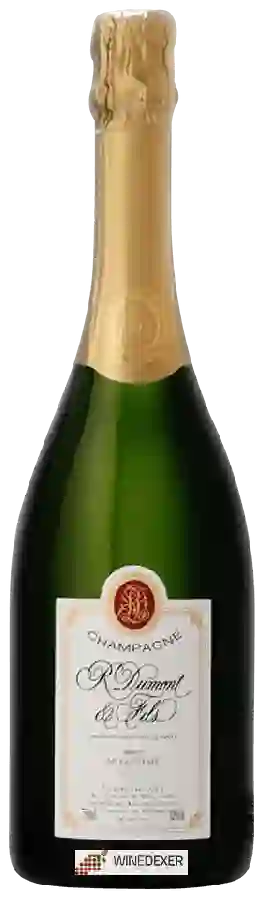 Winery R. Dumont & Fils - Brut Champagne