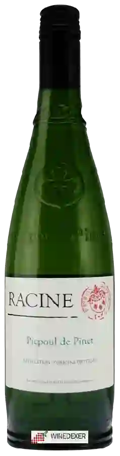 Winery Racine - Picpoul de Pinet