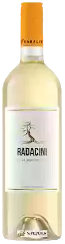 Winery Radacini - Chardonnay