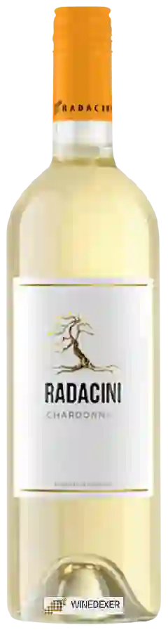 Winery Radacini - Chardonnay