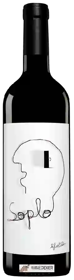 Winery Rafael Cambra - Soplo Winery Rafael Cambra - Soplo