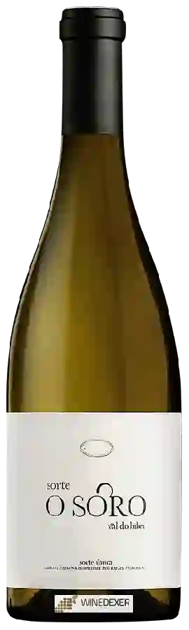 Winery Rafael Palacios - Sorte O Soro Val do Bibei Winery Rafael Palacios - Sorte O Soro Val do Bibei