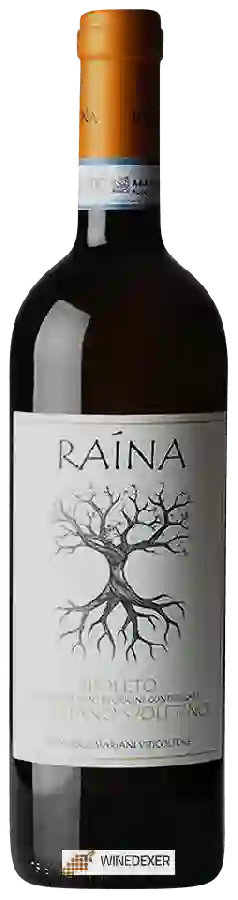 Winery Raína - Spoleto Trebbiano Spoletino Winery Raína - Spoleto Trebbiano Spoletino