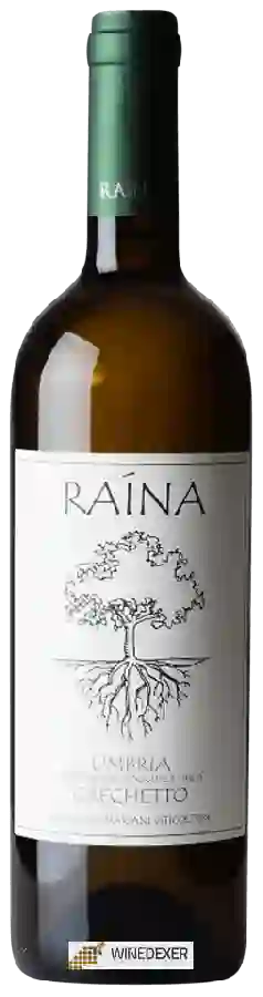 Winery Raína - Umbria Grechetto