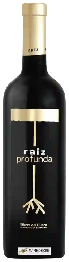 Winery Raíz de Guzmán - Profunda