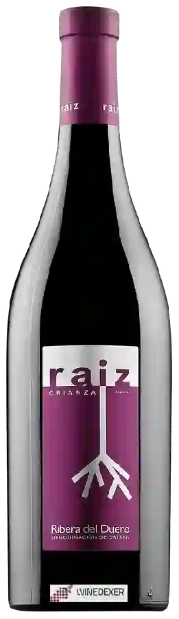 Winery Raíz de Guzmán - Crianza