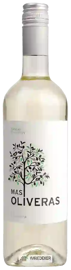 Winery Ramón Roqueta - Mas Oliveras Macabeo - Chardonnay