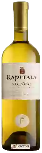 Winery Tenuta Rapitalà - Alcamo