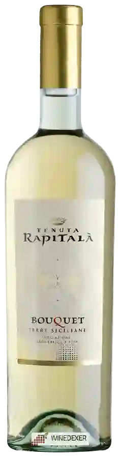Winery Tenuta Rapitalà - Bouquet Terre Siciliane Winery Tenuta Rapitalà - Bouquet Terre Siciliane