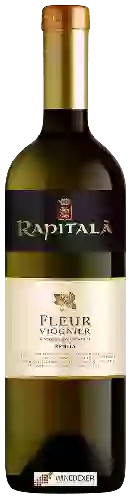 Winery Tenuta Rapitalà - Fleur Viognier Sicilia