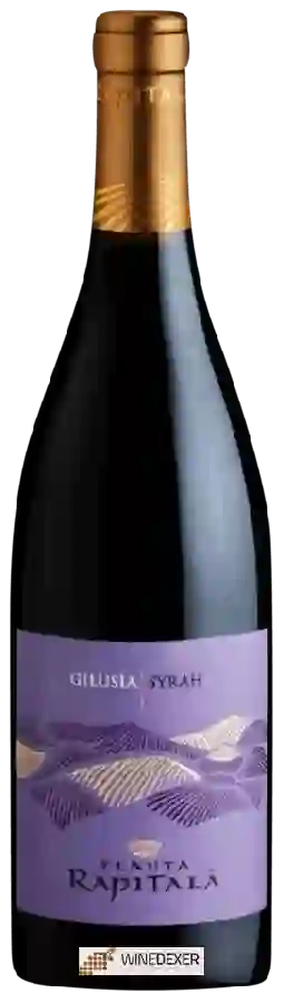 Winery Tenuta Rapitalà - Gilus&igravea Syrah