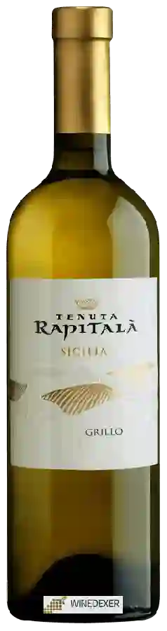 Winery Tenuta Rapitalà - Grillo Sicilia Winery Tenuta Rapitalà - Grillo Sicilia