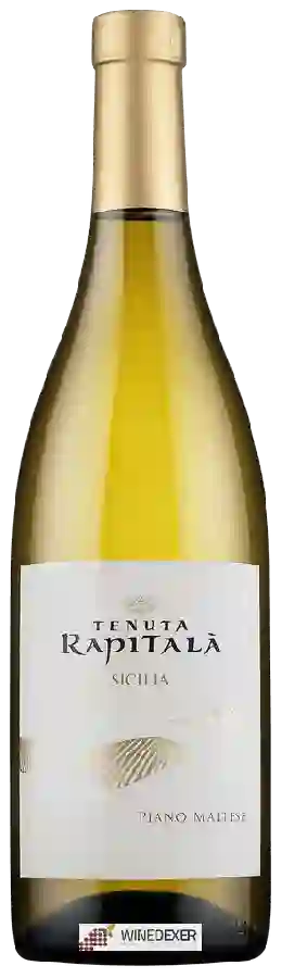 Winery Tenuta Rapitalà - Piano Maltese Sicillane
