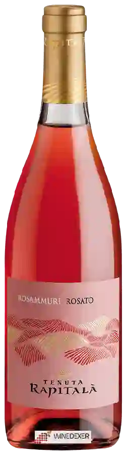 Winery Tenuta Rapitalà - Rosammuri Rosato Winery Tenuta Rapitalà - Rosammuri Rosato