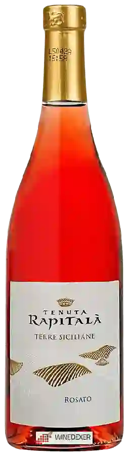 Winery Tenuta Rapitalà - Rosato Terre Siciliane