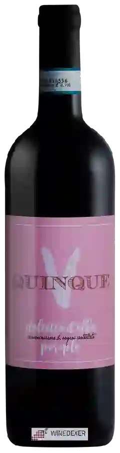 Winery Massimo Rattalino - Quinque Periplo Dolcetto d'Alba