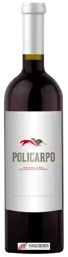Winery Raul Calvo Beltran - Policarpo