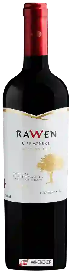 Winery Ravanal - Rawen Carmenère