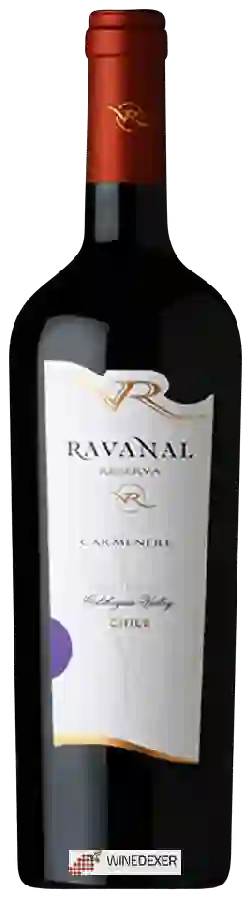 Winery Ravanal - Reserva Carmenère