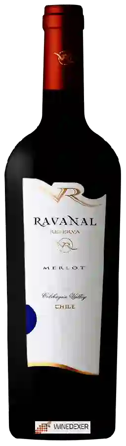Winery Ravanal - Reserva Merlot