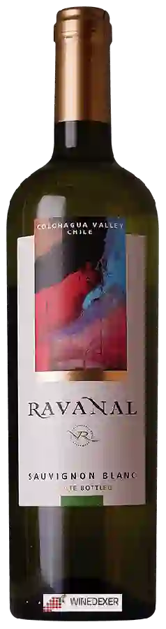 Winery Ravanal - Sauvignon Blanc