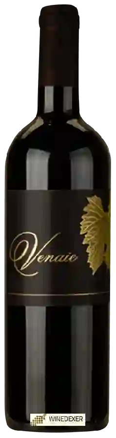 Winery Ravazzi - Venaie