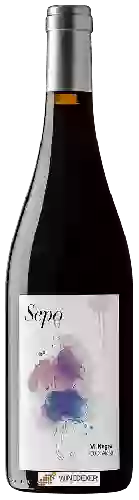Winery Raventos d'Alella - Sepo Vi Negre
