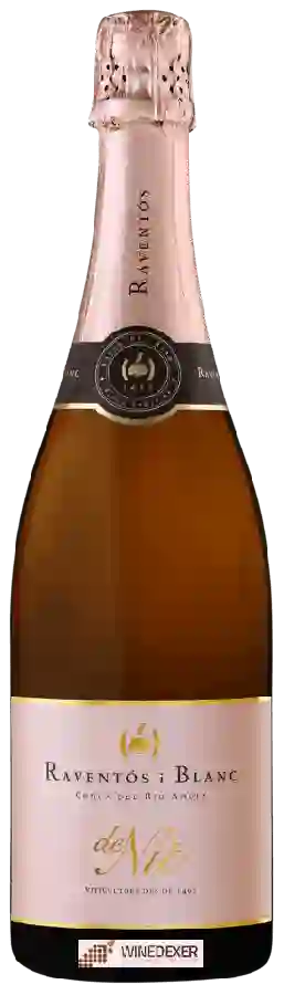 Winery Raventos I Blanc - Cava de Nit Rosado