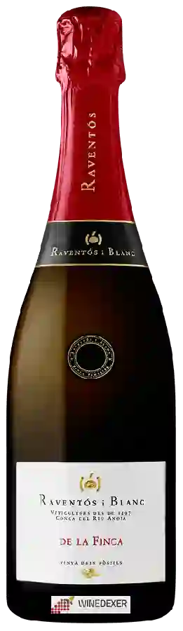 Winery Raventos I Blanc - De La Finca