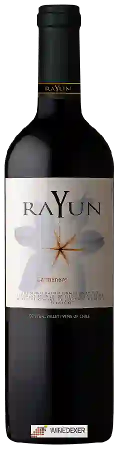 Winery Rayun - Carménère Winery Rayun - Carménère