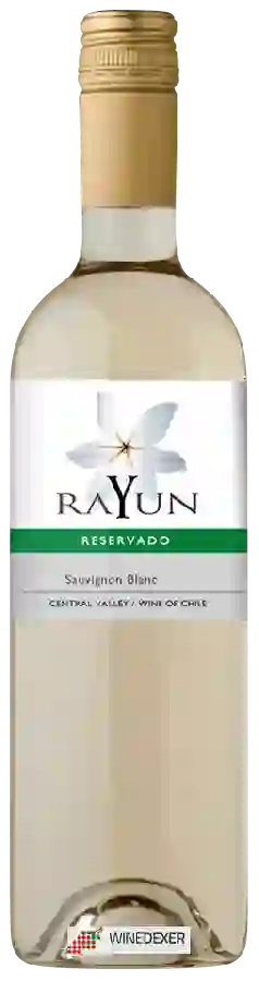 Winery Rayun - Sauvignon Blanc Reservado