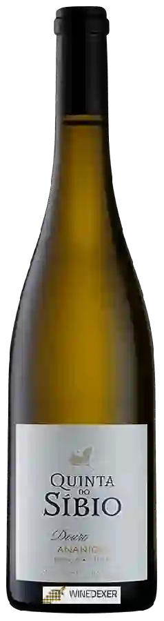 Winery Real Companhia Velha - Quinta do Síbio Ananico Winery Real Companhia Velha - Quinta do Síbio Ananico