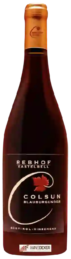 Winery Rebhof Leo Forcher - Colsun Blauburgunder Winery Rebhof Leo Forcher - Colsun Blauburgunder