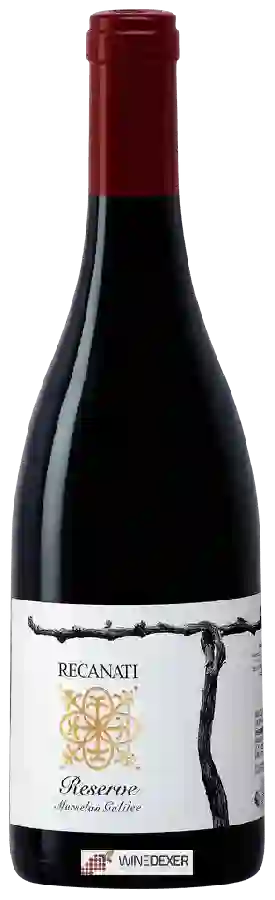 Winery Recanati - Reserve Marselan