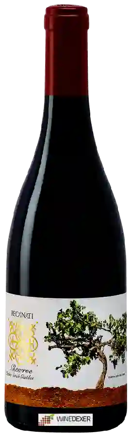 Winery Recanati - Reserve Petite Sirah
