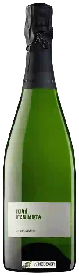 Winery Recaredo - Turó d’en Mota