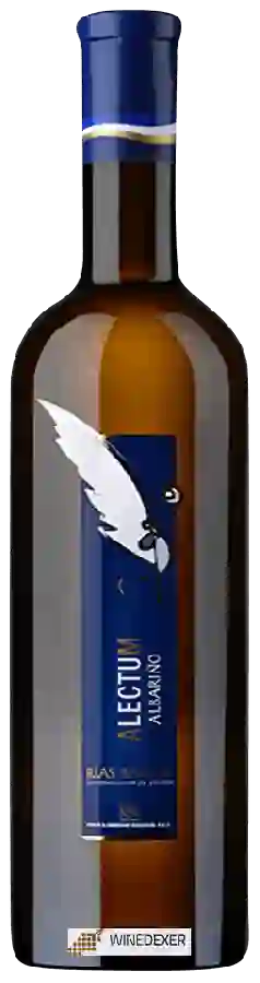 Winery Rectoral do Umia - Alectum Albariño Winery Rectoral do Umia - Alectum Albariño