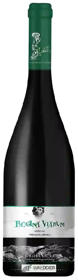 Winery Regina Viarum - Godello Winery Regina Viarum - Godello