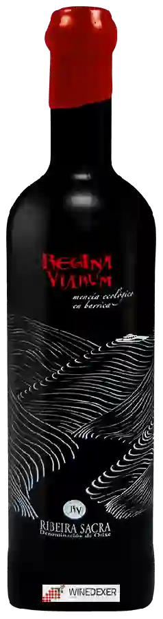 Winery Regina Viarum - Mencia Ecologico en Barrica Winery Regina Viarum - Mencia Ecologico en Barrica