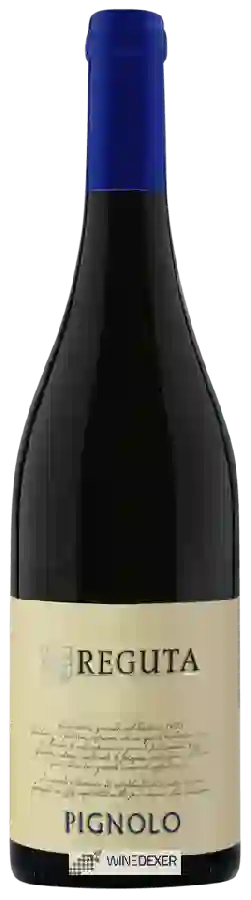 Winery Reguta - Pignolo