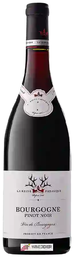 Winery Reine Pédauque - Bourgogne Pinot Noir Winery Reine Pédauque - Bourgogne Pinot Noir