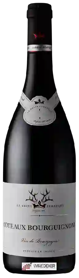 Winery Reine Pédauque - Coteaux Bourguignons