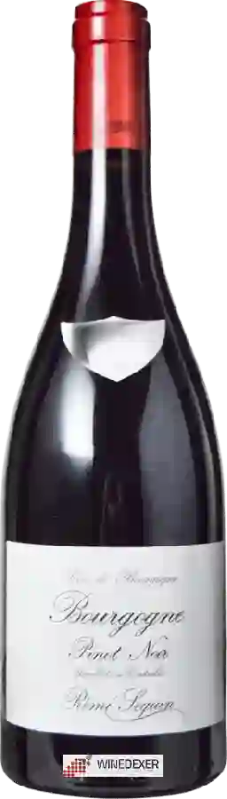 Winery Rémi Seguin - Bourgogne Pinot Noir