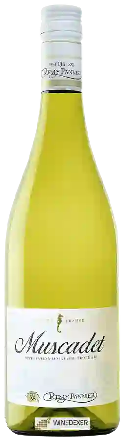 Winery Rémy Pannier - Muscadet-Sèvre et Maine Sur Lie