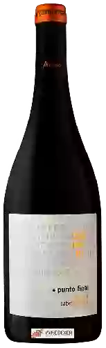 Winery Renacer - Punto Final Reserva Cabernet Franc