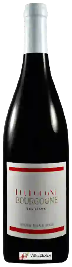 Domaine Renaud Boyer - Bourgogne Les Riaux Rouge