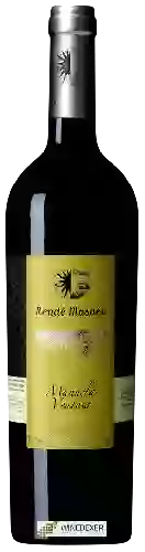 Winery Rendé Masdéu - Manuela Ventosa
