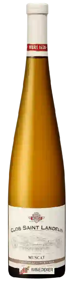 Winery René Muré - Clos Saint Landelin Vendanges Tardives Muscat
